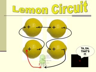 Lemon Circuit - Anode and Cathode